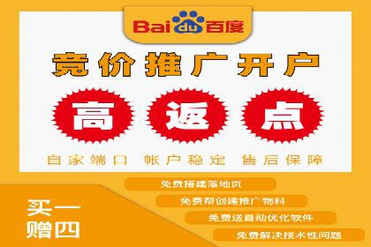 成功案例分享：托管竞价SEM优化策略