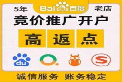 SEM竞价代运营：案例展示数据分析与应用